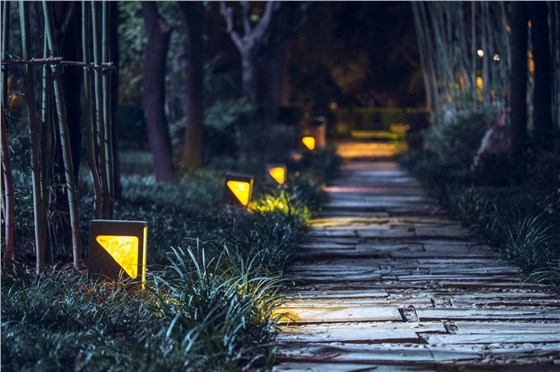 樹木亮化工程-4